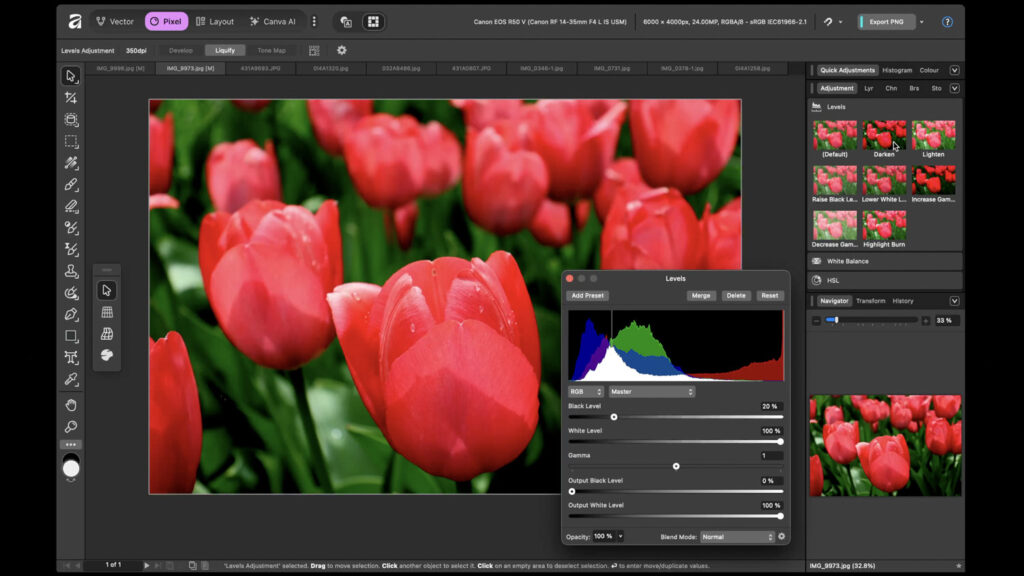 Affinity - program na úpravu fotek zdarma - tutoriál - předvolby