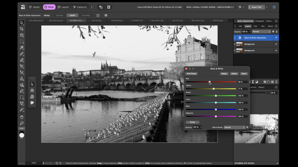 Affinity - program na úpravu fotek zdarma - tutoriál - černobílé fotky