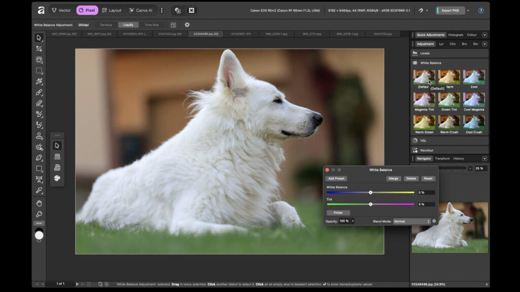 Affinity - program na úpravu fotek zdarma - tutoriál - vyvážení bílé barvy