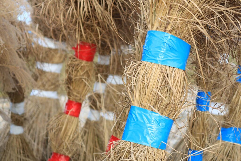 Canon PowerShot G7 X Mark III recenze 2026 - galerie Danubiana