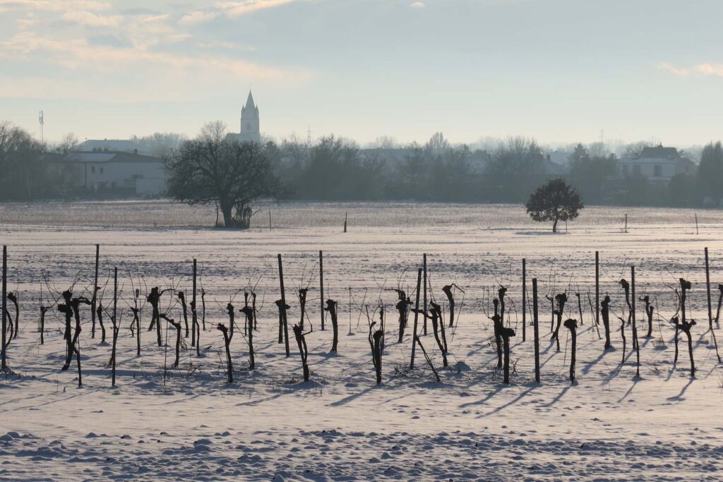 Canon PowerShot G7 X Mark III recenze 2026 - vinice pod sněhem