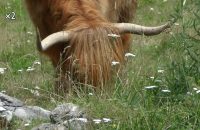 Canon Powershot Golf Recenze