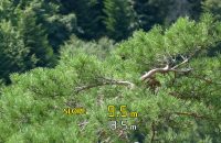 Canon Powershot Golf Recenze