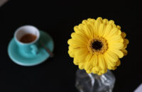 Canon PowerShot V1 - květina a káva