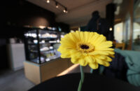 Canon PowerShot V1 - květina a káva