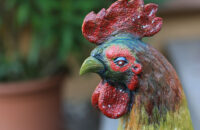 Plechový kohout Vlárský průsmyk - recenze foťáku Canon R5 Mark II