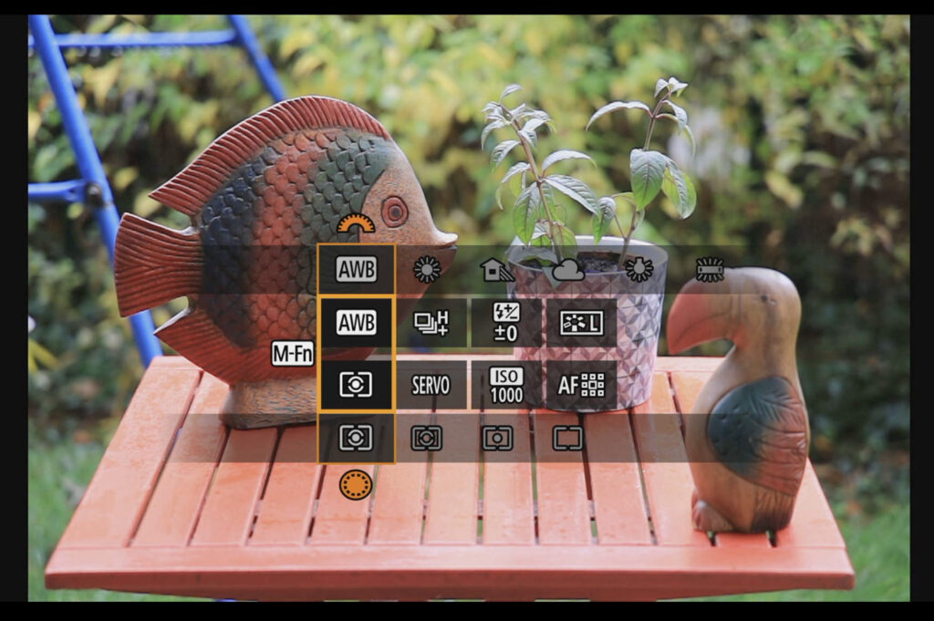 Canon R6 Mark III recenze - ovládání