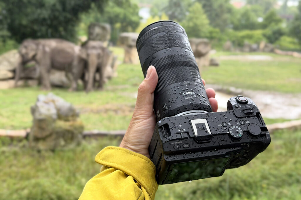 Canon RF 100-400mm f/5.6-8 IS USM recenze