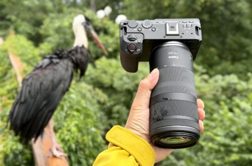 Canon RF 100-400mm f/5.6-8 IS USM