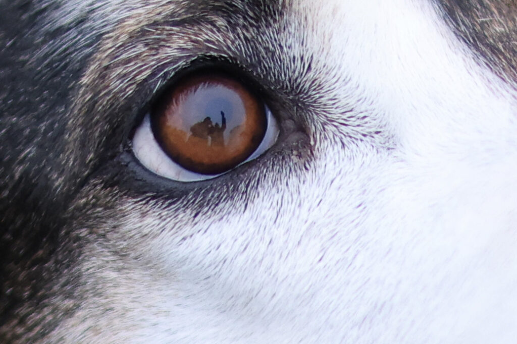 Canon RF 45mm F1.2 STM - recenze - detail