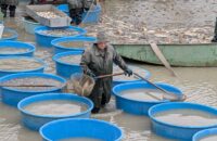 Recenze Google Pixel 9 Pro XL - výlov rybníka Jakub, listopad 2024