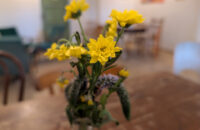 Recenze Google Pixel 9 Pro XL - detaily květiny