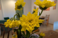 Recenze Google Pixel 9 Pro XL - detaily květiny