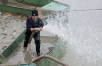 Recenze Google Pixel 9 Pro XL - výlov rybníka Jakub, listopad 2024