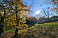 Recenze Google Pixel 9 Pro XL - park na Petříně