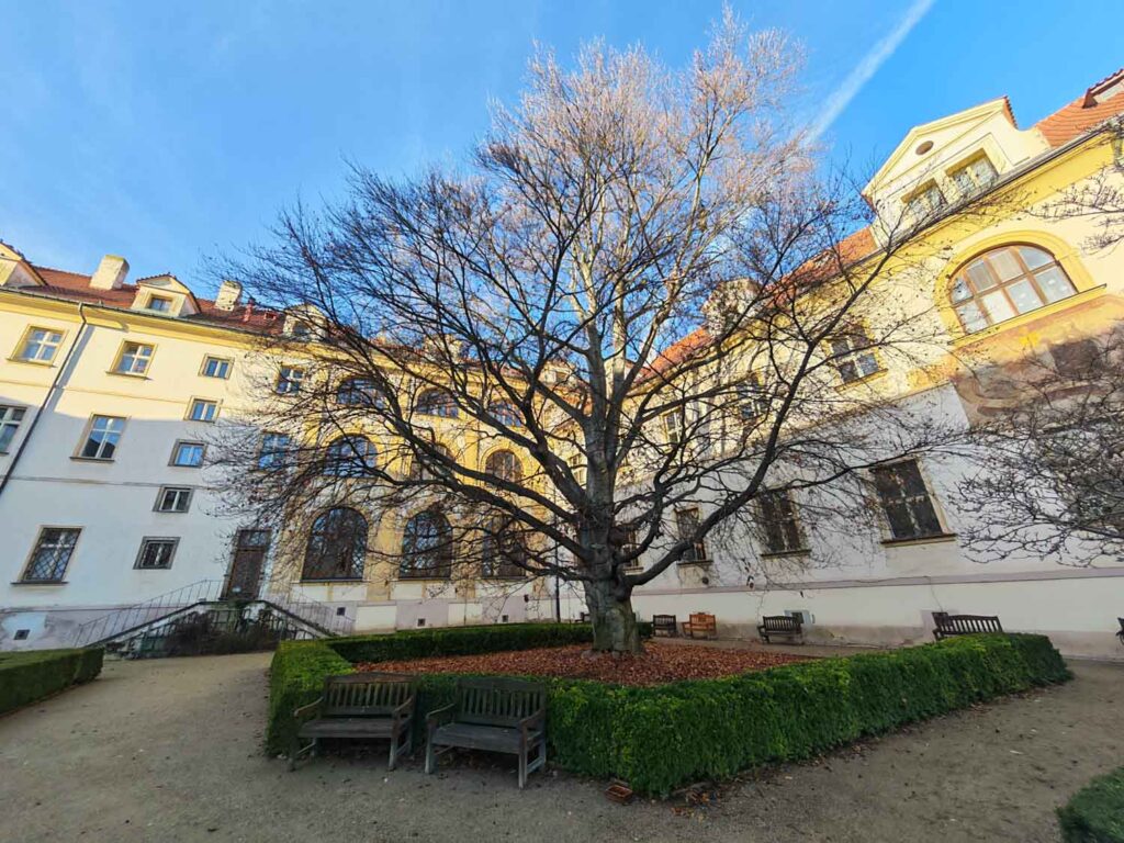 Honor Magic V5 recenze - Praha