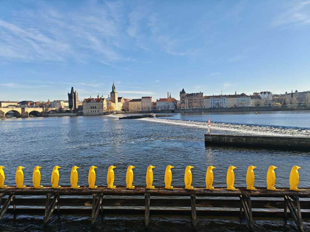 Honor Magic V5 recenze - Praha