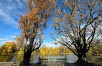 Otakárek fenyklový