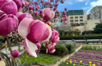 iPhone 15 Pro recenze