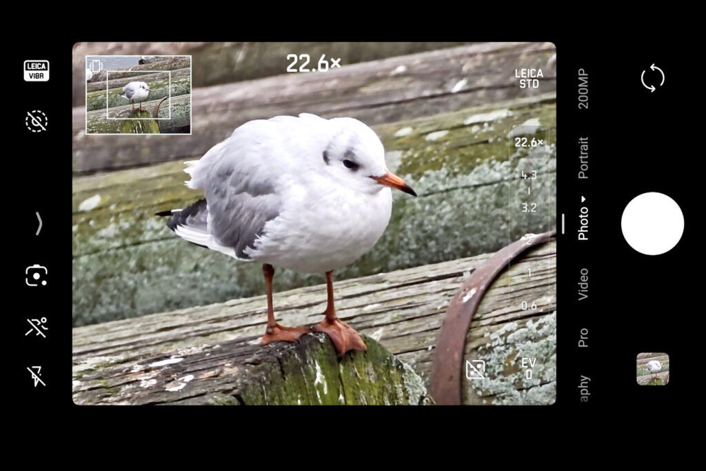 Leica Leitzphone, detail