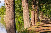 POCO F7 Ultra recenze - stromy