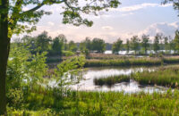 POCO F7 Ultra recenze - krajina