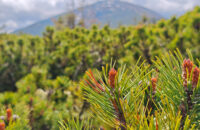 POCO F7 Ultra recenze - Krkonoše