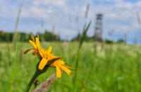 POCO F7 Ultra recenze - krajina