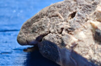 POCO F7 Ultra recenze - kámen