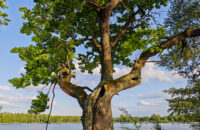 POCO F7 Ultra recenze - krajina