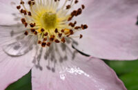 POCO F7 Ultra recenze - detail