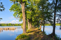 POCO F7 Ultra recenze - krajina