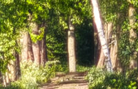 POCO F7 Ultra recenze - krajina