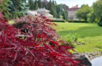 Samsung Galaxy A56 - recenze - Lány