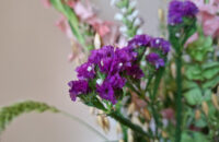 Samsung Galaxy A56 - recenze - Lány - květiny