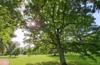 Samsung Galaxy A56 - recenze - Lány