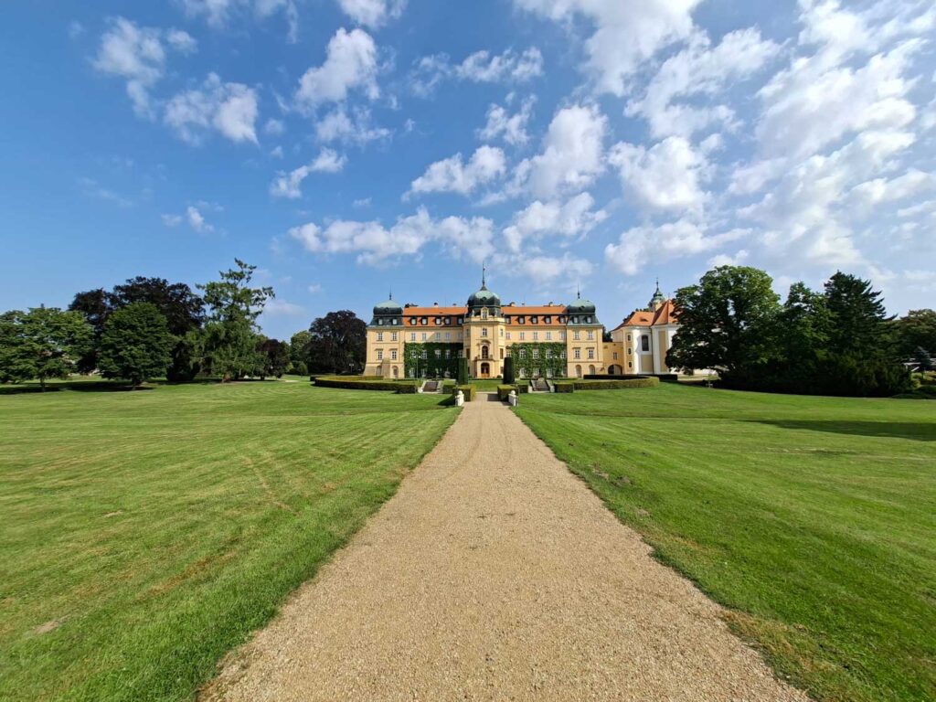 Samsung Galaxy A56 - recenze - Lány