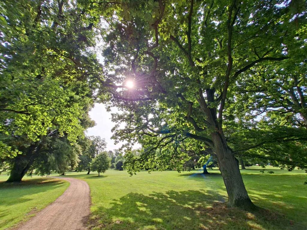 Samsung Galaxy A56 - recenze - Lány