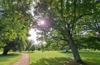 Samsung Galaxy A56 - recenze - Lány