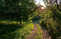 Samsung Galaxy A56 - recenze - krajina