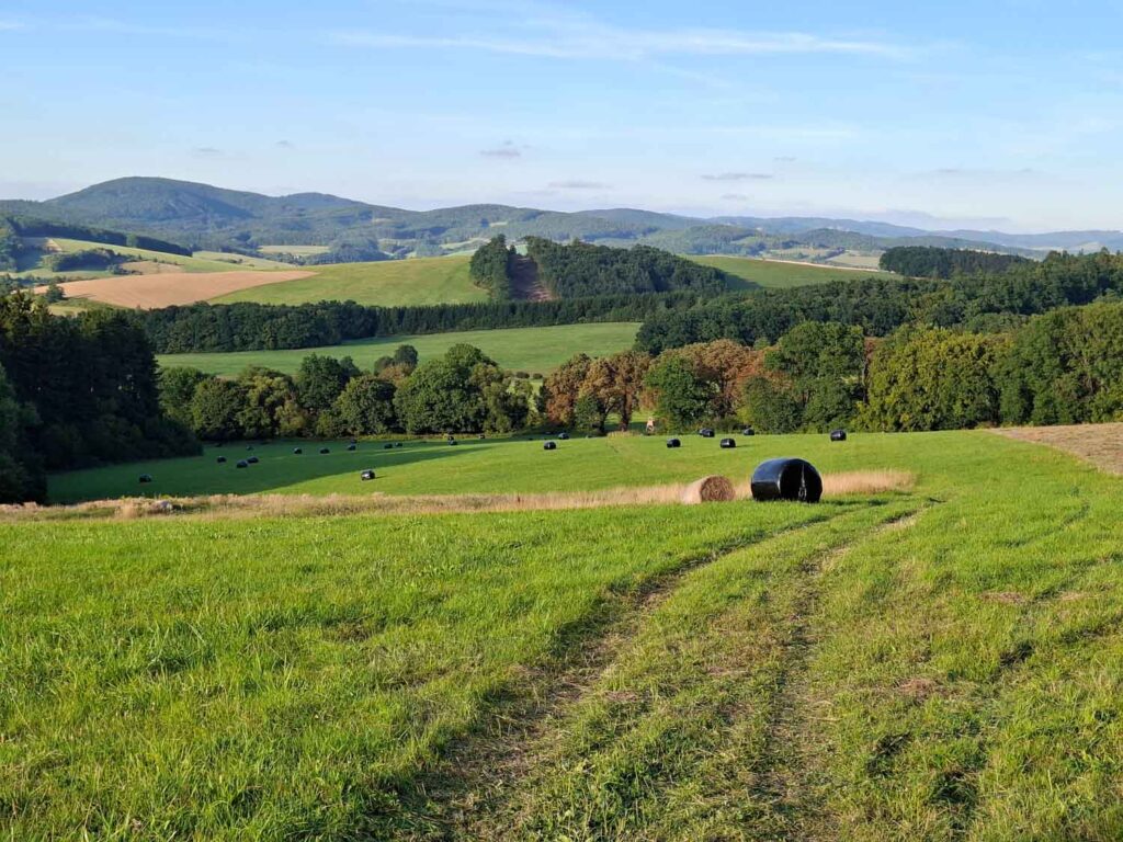 Samsung Galaxy A56 - recenze - Bílé Karpaty