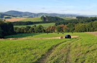 Samsung Galaxy A56 - recenze - Bílé Karpaty