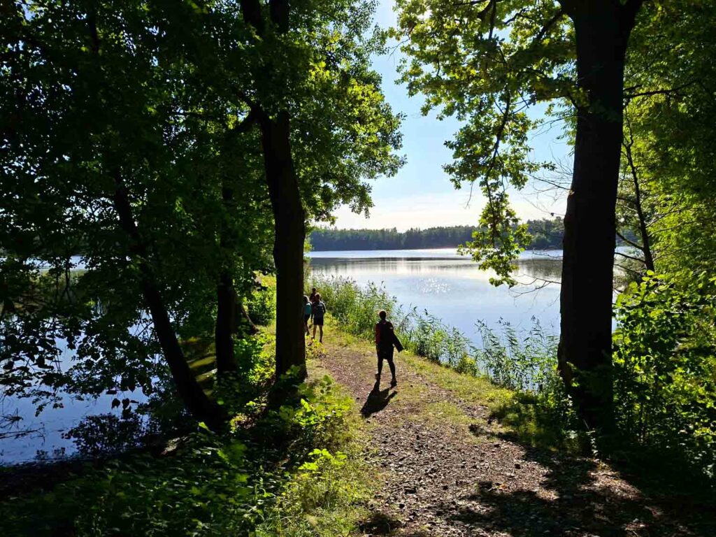 Samsung Galaxy A56 - recenze - Třeboňsko