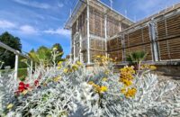 Samsung Galaxy A56 - recenze - Lány