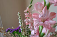 Samsung Galaxy A56 - recenze - Lány - květiny