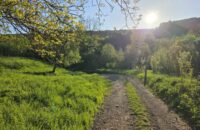 Samsung Galaxy S25 Ultra recenze krajina