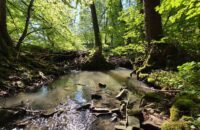 Samsung Galaxy S25 Ultra recenze krajina