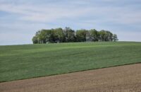 Samsung Galaxy S25 Ultra recenze krajina