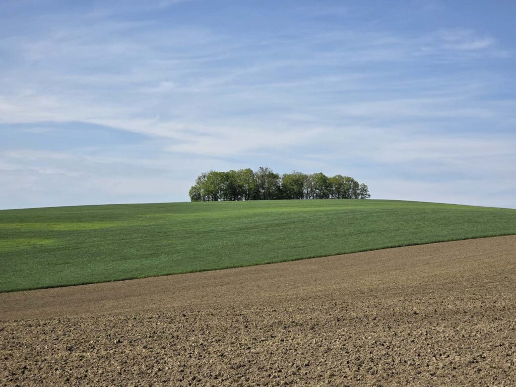 Samsung Galaxy S25 Ultra recenze krajina