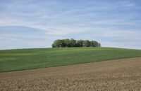 Samsung Galaxy S25 Ultra recenze krajina